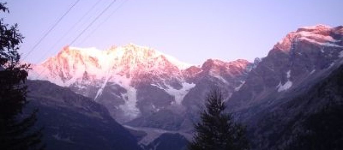 103rosaalbabil